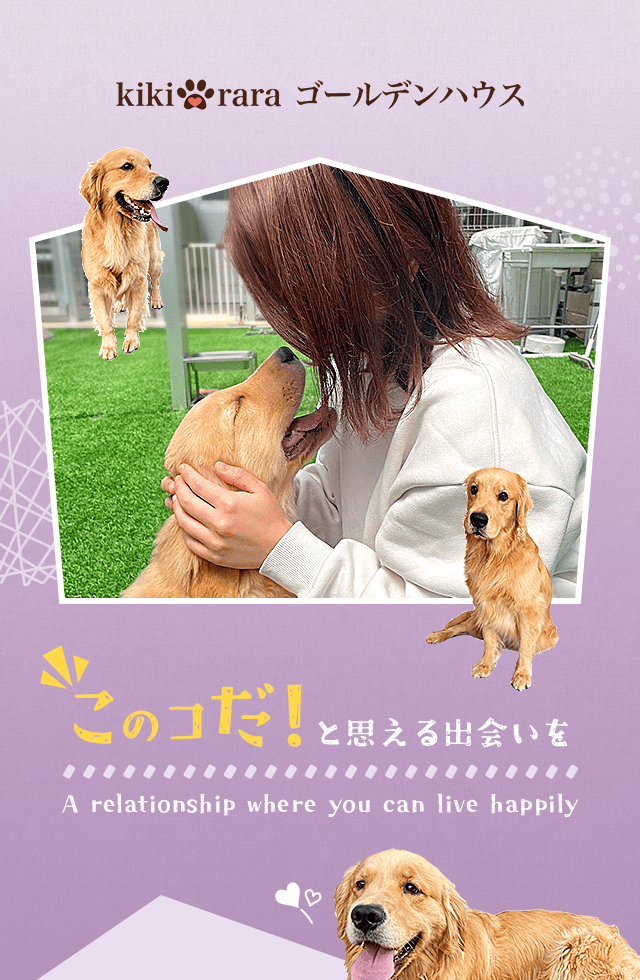 “この子だ”と思える出会いを、kikiraraゴールデンハウスで。