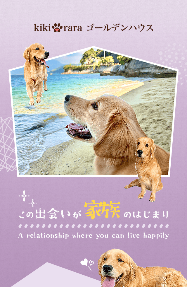 この出会いが、家族のはじまり。