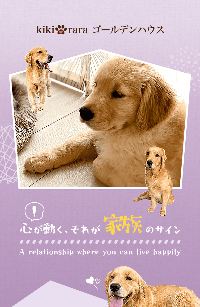 心が動いたら、それが家族のサイン